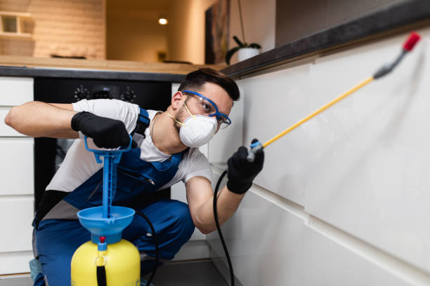 Best Wasp Removal Services  in Prague, OK