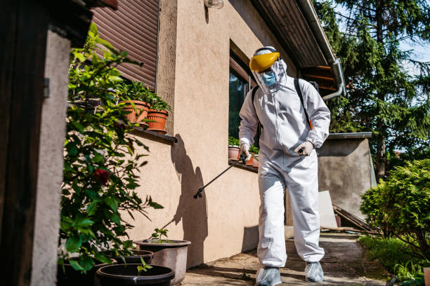 Best Best Pest Control Companies  in Prague, OK