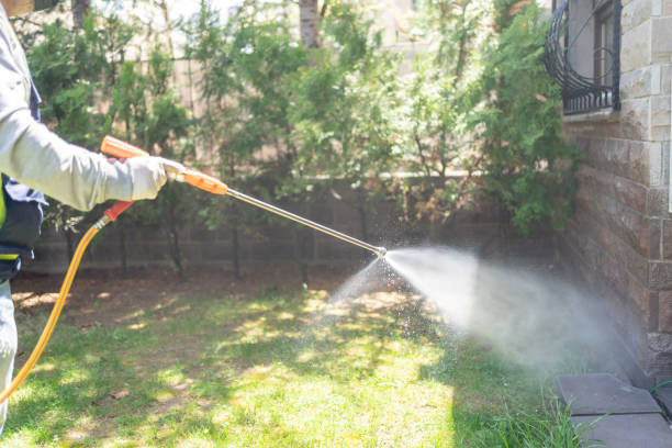 Best Pest Removal Services  in Prague, OK