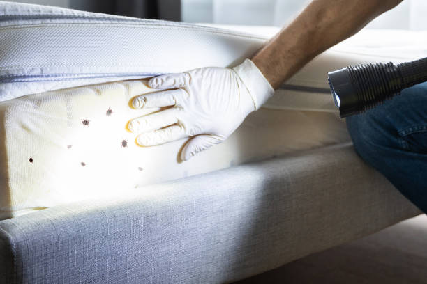 Best Pest Inspection Near Me  in Prague, OK