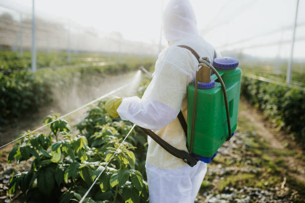 Best Insect Control  in Prague, OK